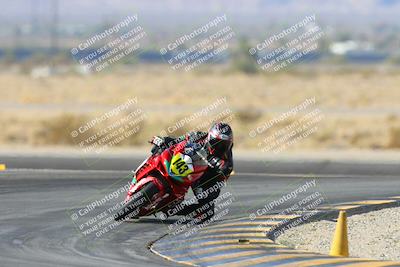 media/Dec-08-2024-CVMA (Sun) [[267e5a7075]]/Race 2-Amateur Supersport Open/